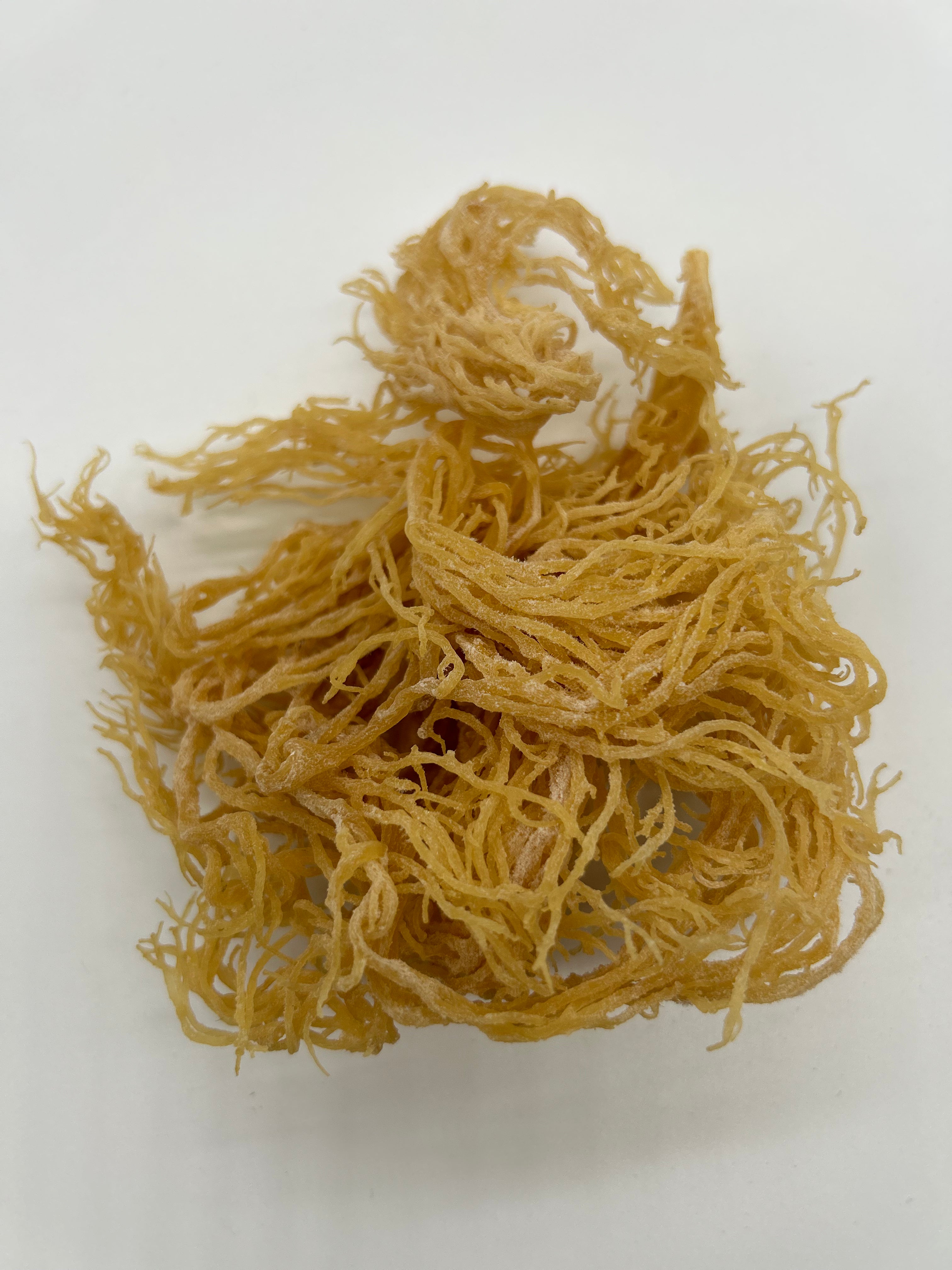 IRISS MOSS- WILDCRAFTED, RAW, SUN DRIED, ALL NUTURAL