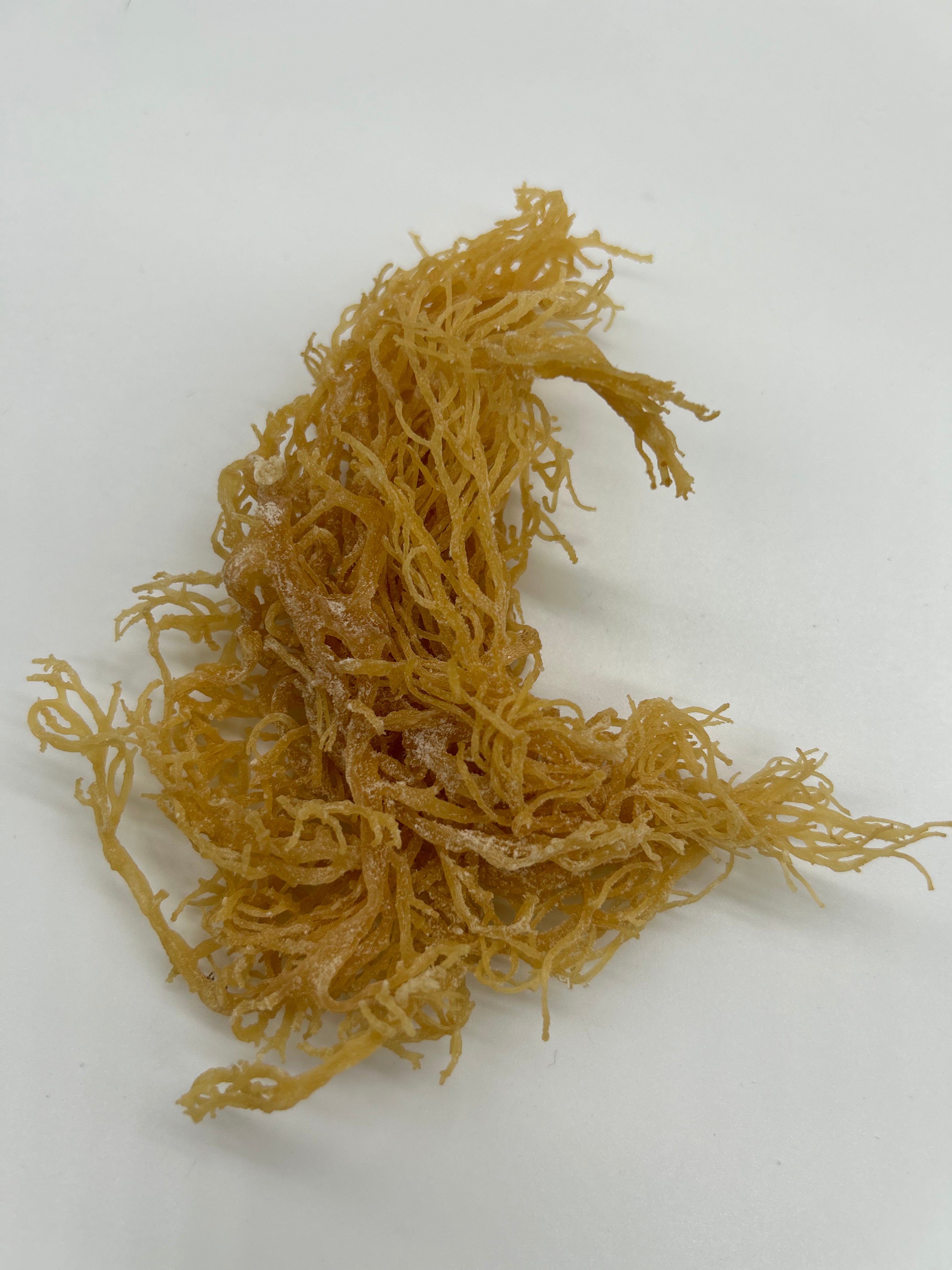 SEA MOSS GELL